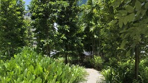 A concrete pathway flanked by lush green plants and trees, leading towards a modern building with a glass facade. - AGILE Infinity Suites TRX By AR (Kuala Lumpur)
