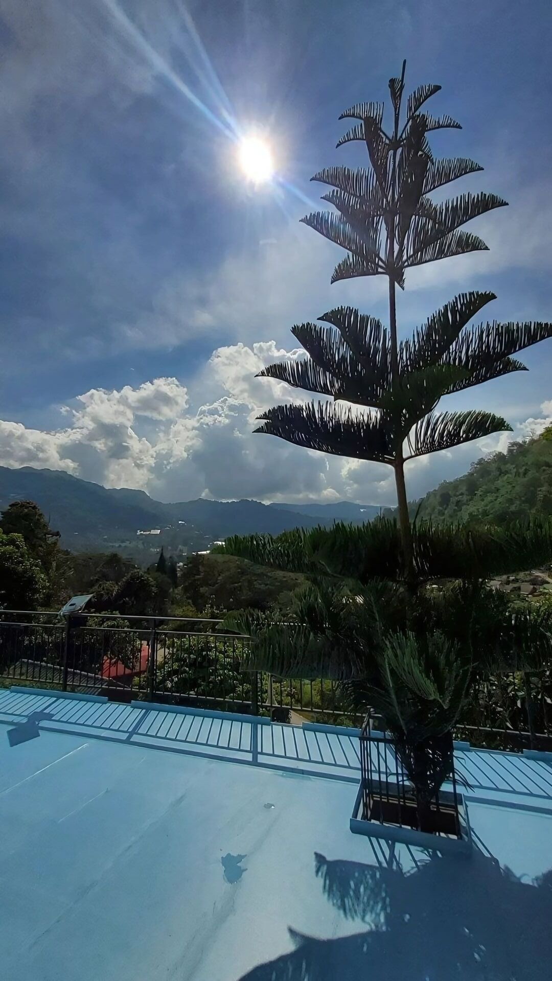 Luxury Tent, Mountain View | Terrace/patio