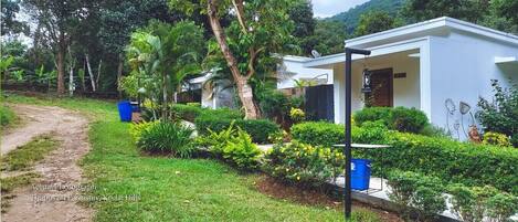 A modern house with a white exterior, surrounded by lush greenery and a dirt path.