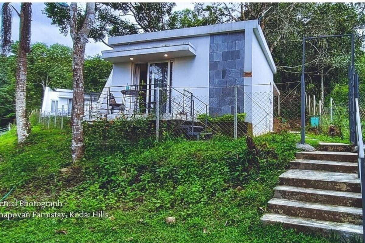 A modern farmhouse with a stone exterior, a wooden staircase leading to a glass door, surrounded by lush greenery.