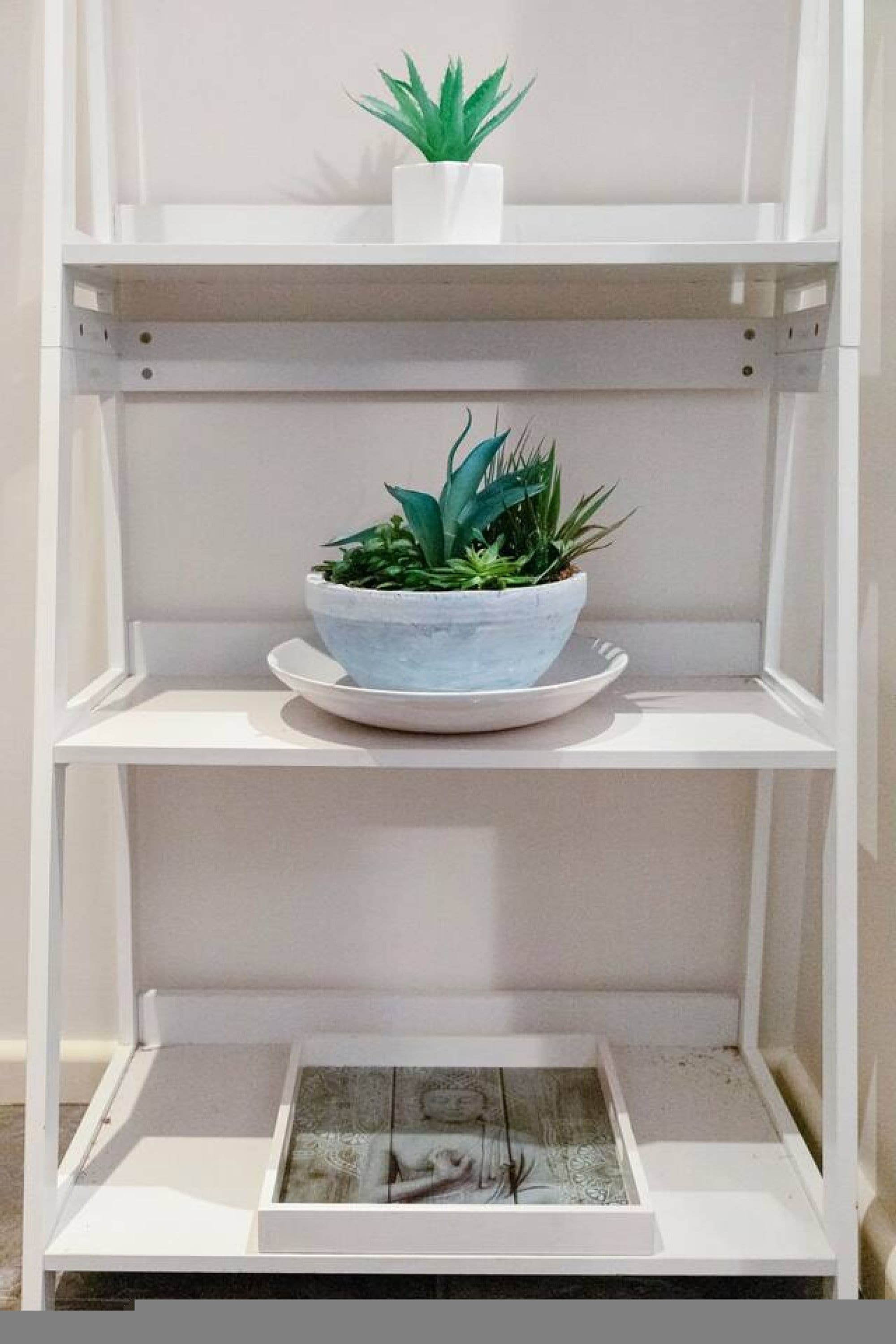 A white shelf unit with a potted plant on the top shelf and a framed picture on the bottom shelf.