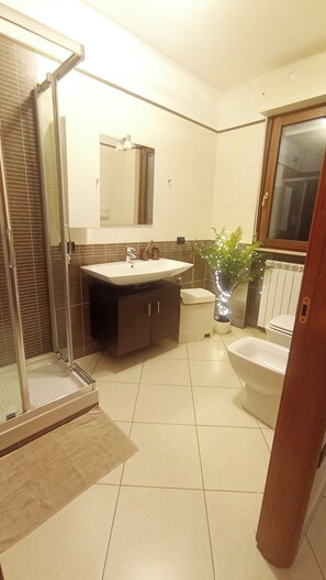 Shower, hair dryer, bidet, towels