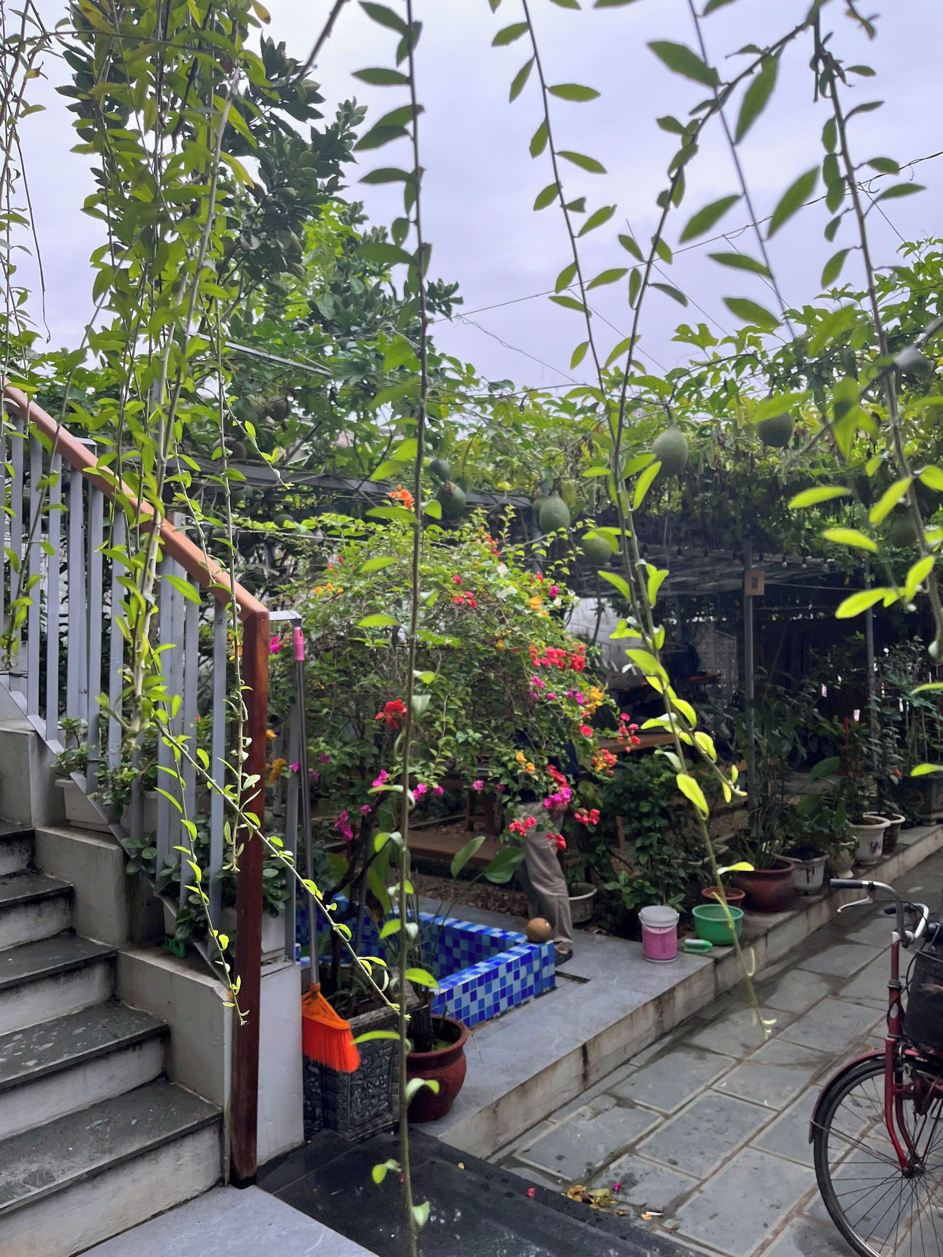 A staircase leading to a covered outdoor area with potted plants and a bicycle.
