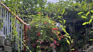 A staircase leading to a covered outdoor area with potted plants and a bicycle.