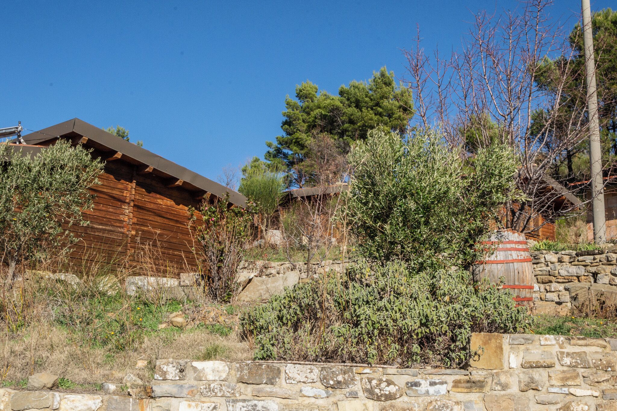 A rustic wooden building with a sloped roof, surrounded by dense vegetation and stone walls.