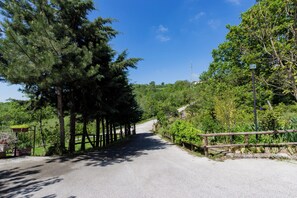 A paved road flanked by trees and a wooden fence, leading into a green landscape. - Agriturismo Radici Irpine (Rocca San Felice)