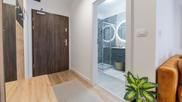 Une salle de bain moderne avec une douche en verre, une porte en bois et une plante en pot.
