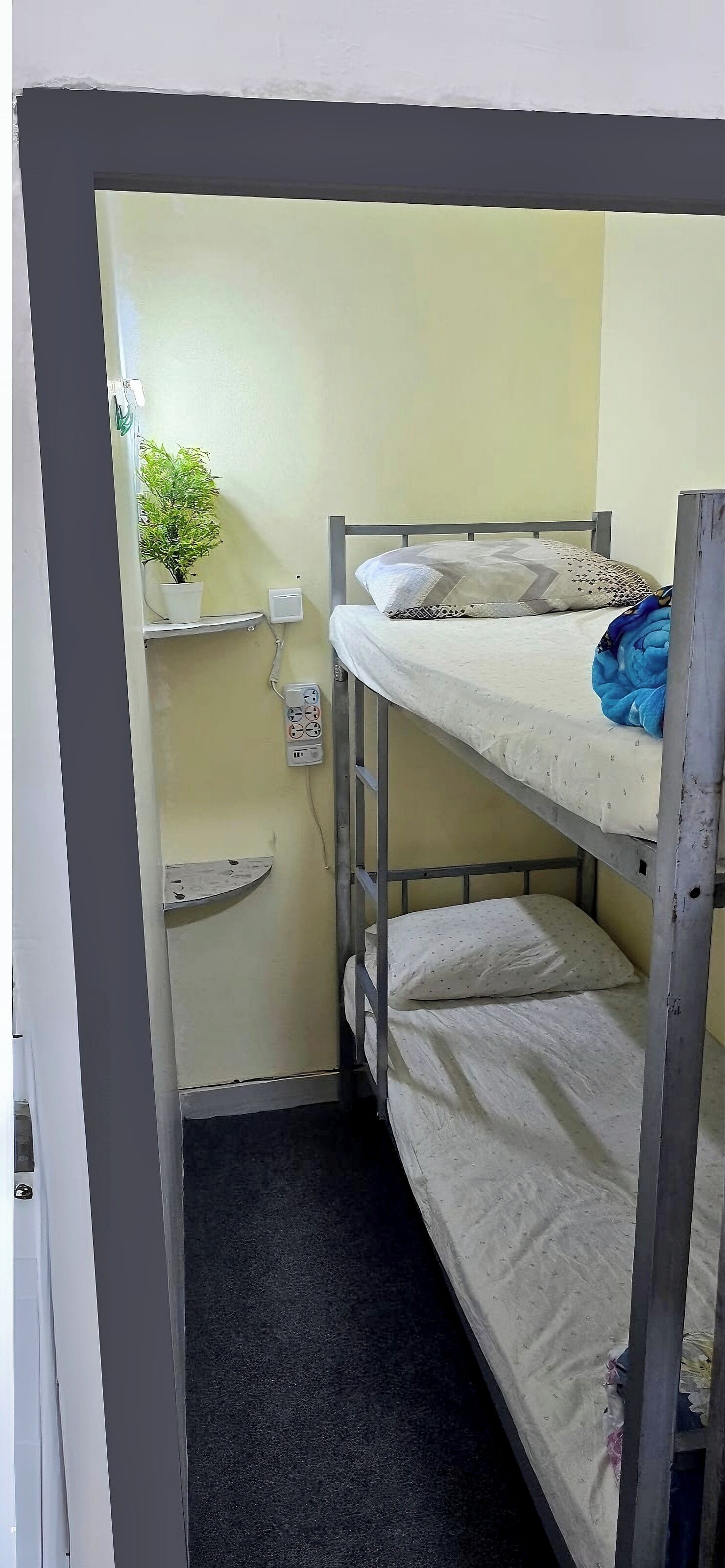 Foto - alharaki Capsule