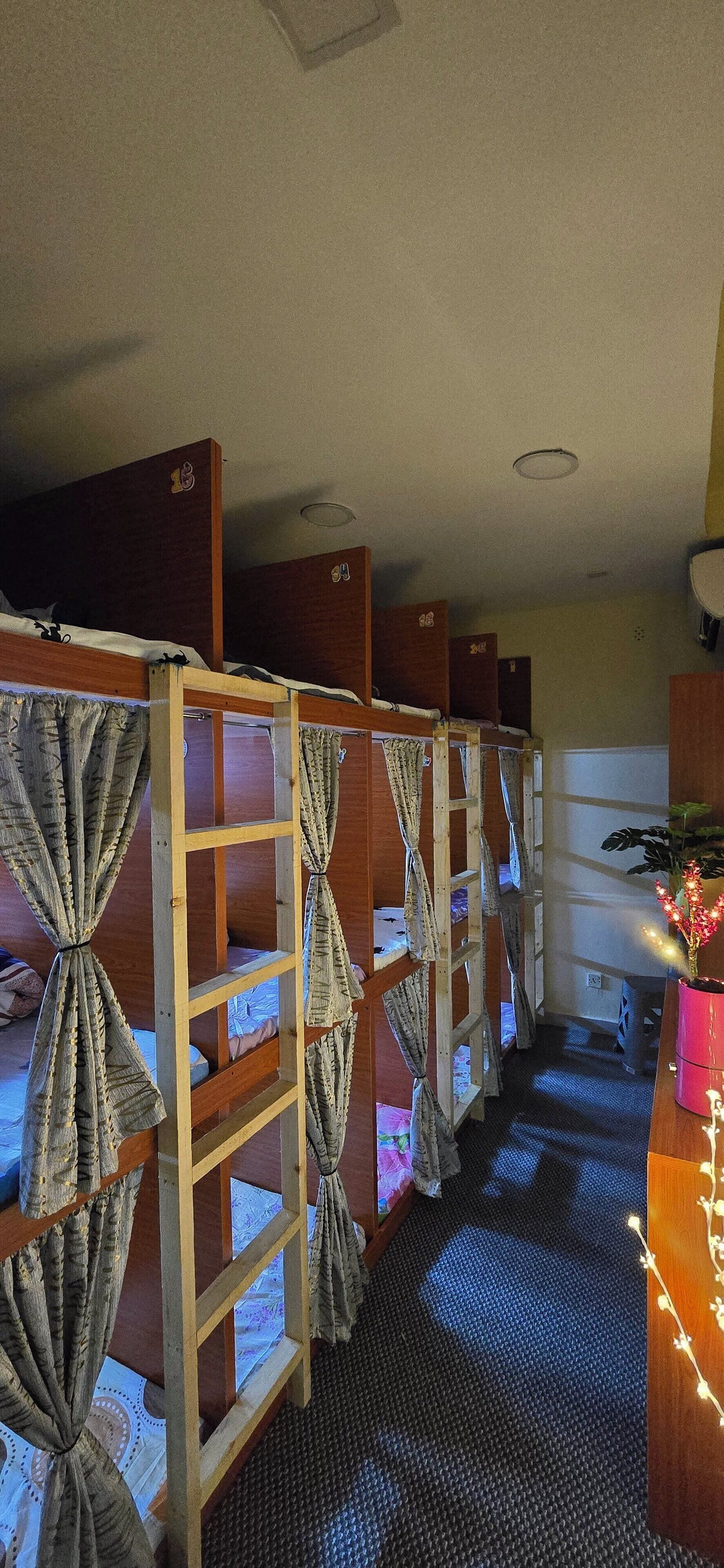 Foto - alharaki Capsule