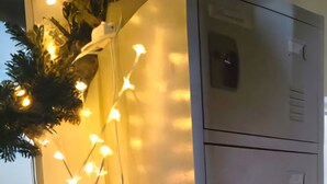 A room with a metal filing cabinet, a potted plant, and a string of lights. - Alharaki Capsule  (Dubai)