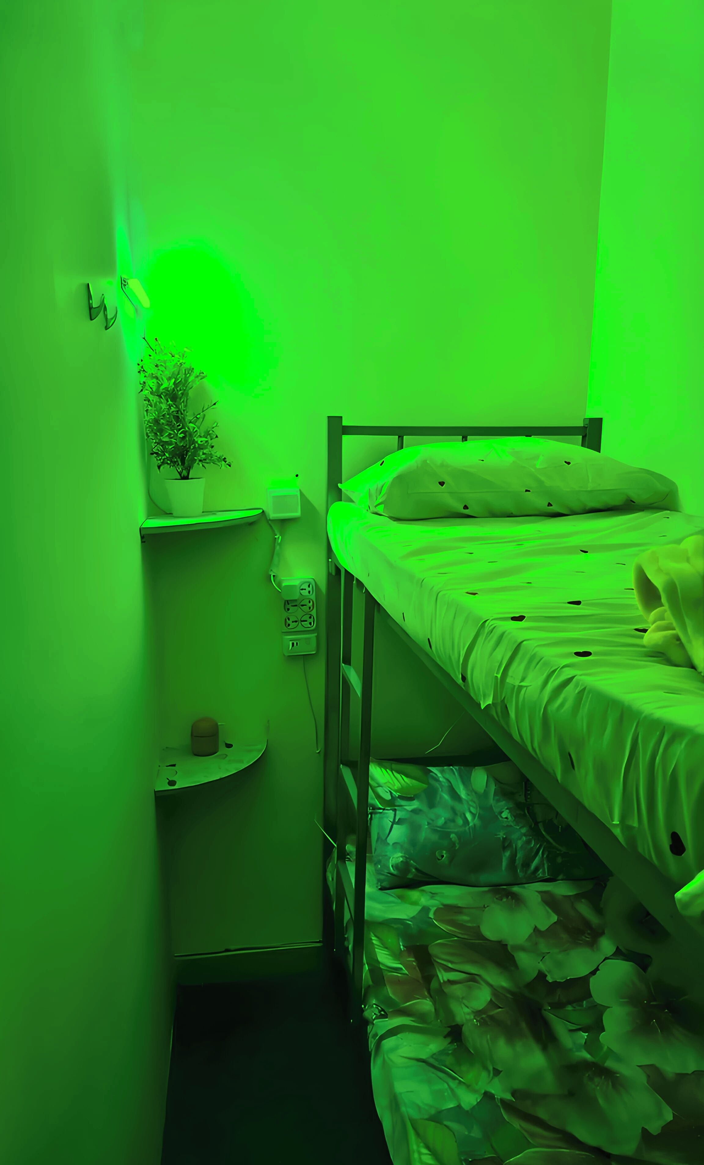 Foto - alharaki Capsule