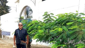 Ein Mann steht auf einer unbefestigten Fläche, im Hintergrund ein großer, grüner Baum und ein weißes Gebäude.