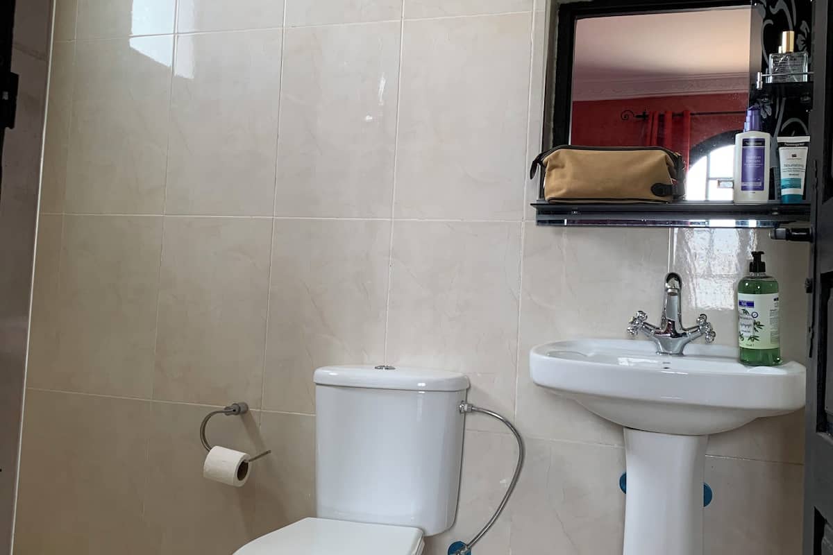 Deluxe Double Room | Bathroom | Shower, free toiletries, towels, soap