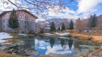 Terrain de l’hébergement