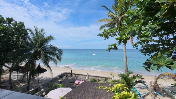 A beach view with palm trees, a thatched-roof structure, and a sandy beach. - FreeDive Inn (Puerto Galera)
