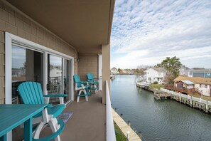 テラス / パティオ