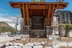 Property grounds - Updated Pet Friendly Monache Studio with Views! (Mammoth Lakes)