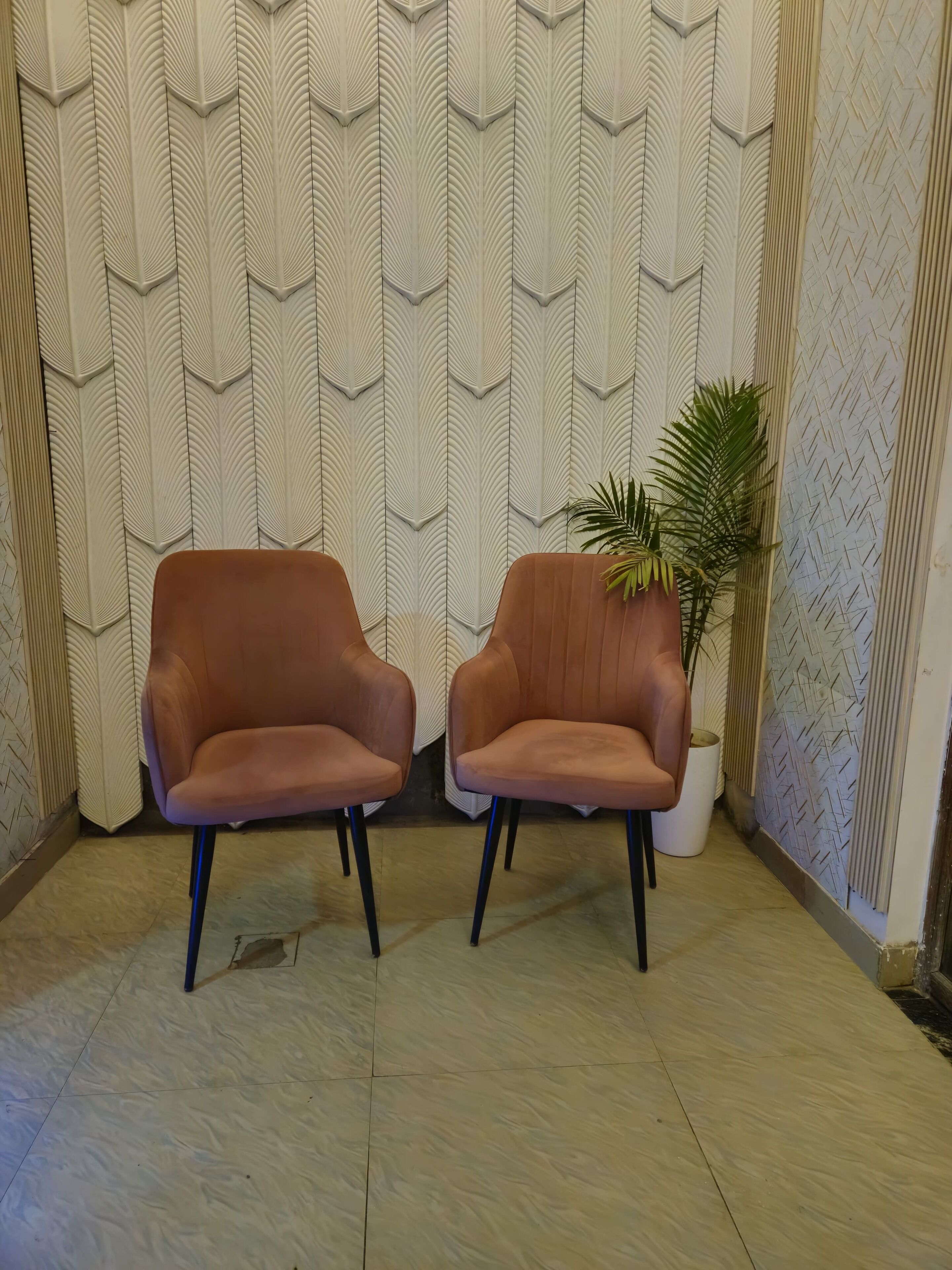 Dos sillones de cuero marrón con patas negras, una planta en maceta y un muro con estampado.