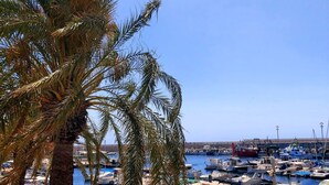 A marina with numerous boats docked, a palm tree in the foreground, and a clear blue sky. - YourHouse Villa Magdalena (Cala Ratjada)