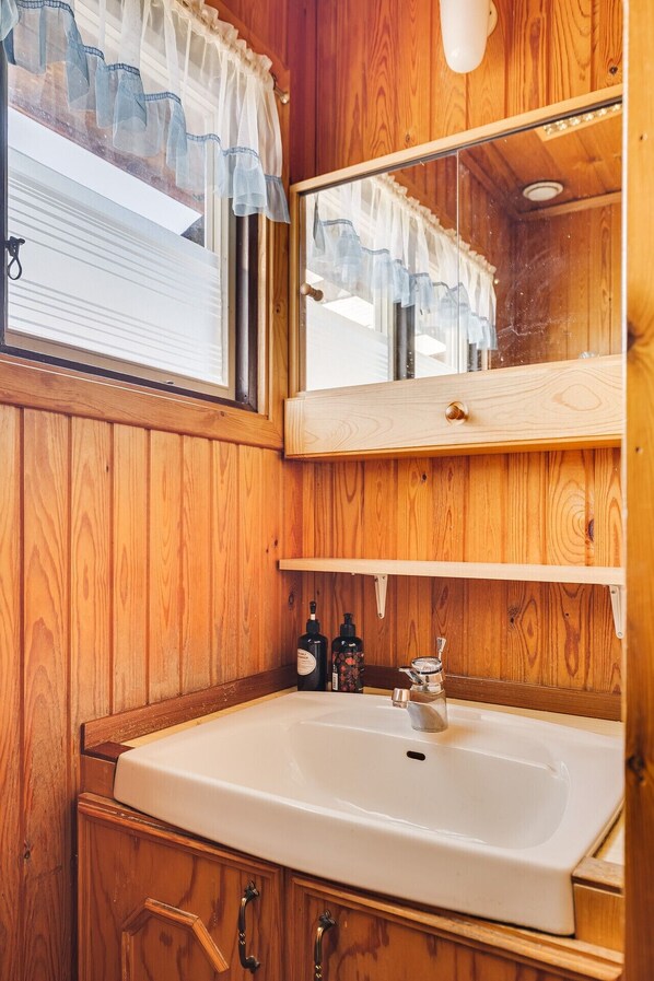 Shower, hair dryer