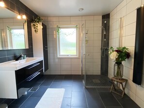 Shower, hair dryer, towels