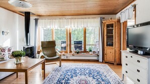 TV, peis og DVD-spiller
