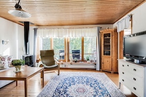 TV, fireplace, DVD player