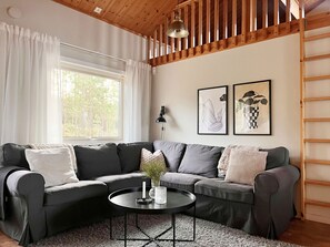 Una televisión, una chimenea