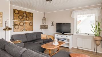 Tv, eldstad och dvd-spelare