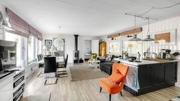 TV, fireplace, DVD player