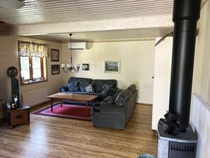 Fernseher, Kamin