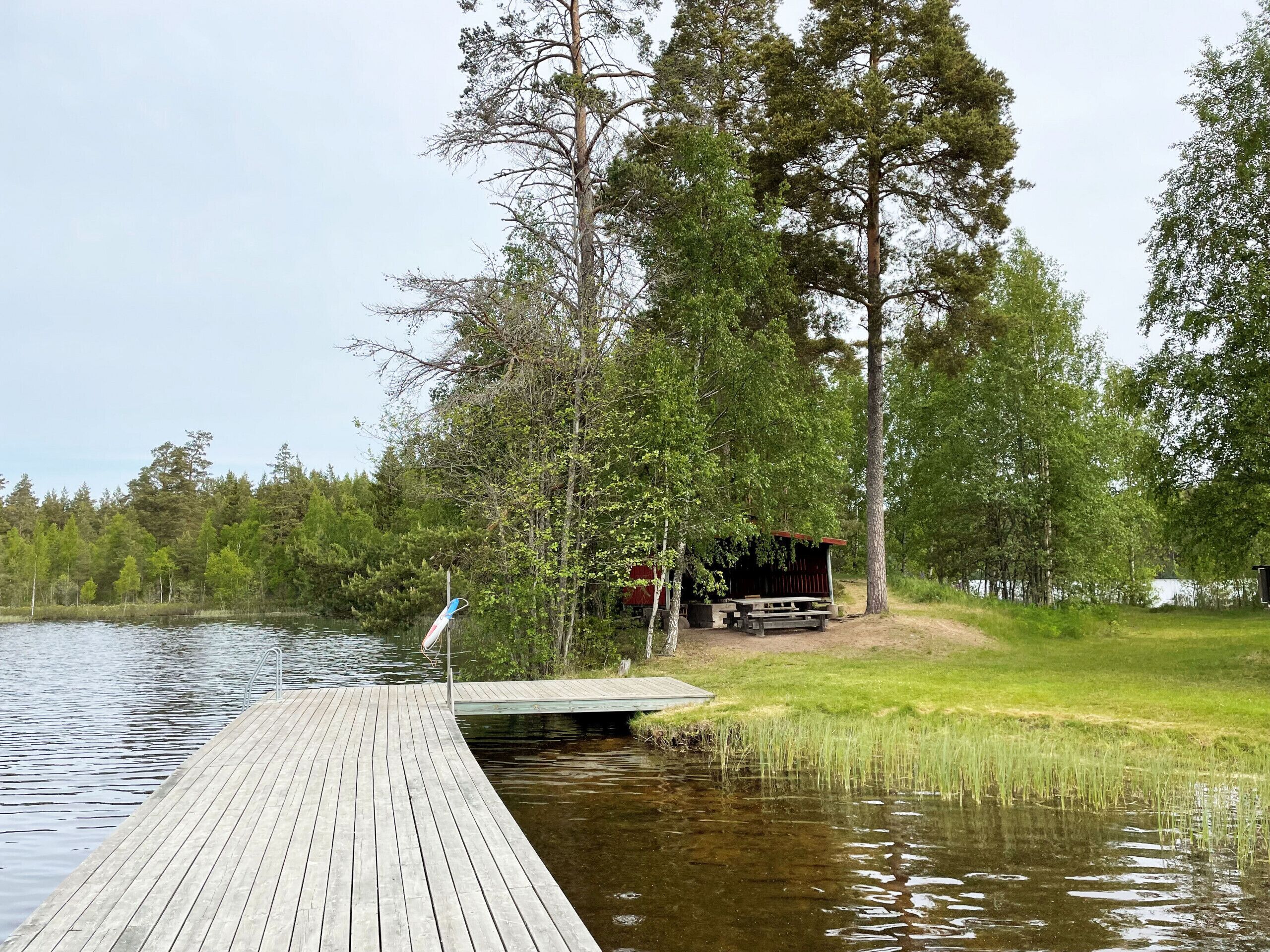A wooden dock extending into a calm lake, surrounded by dense trees and a small wooden structure.