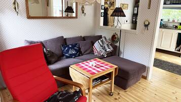 TV, fireplace, DVD player