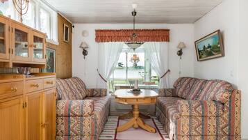 电视、壁炉、DVD 播放器