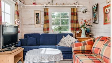 TV, fireplace, DVD player