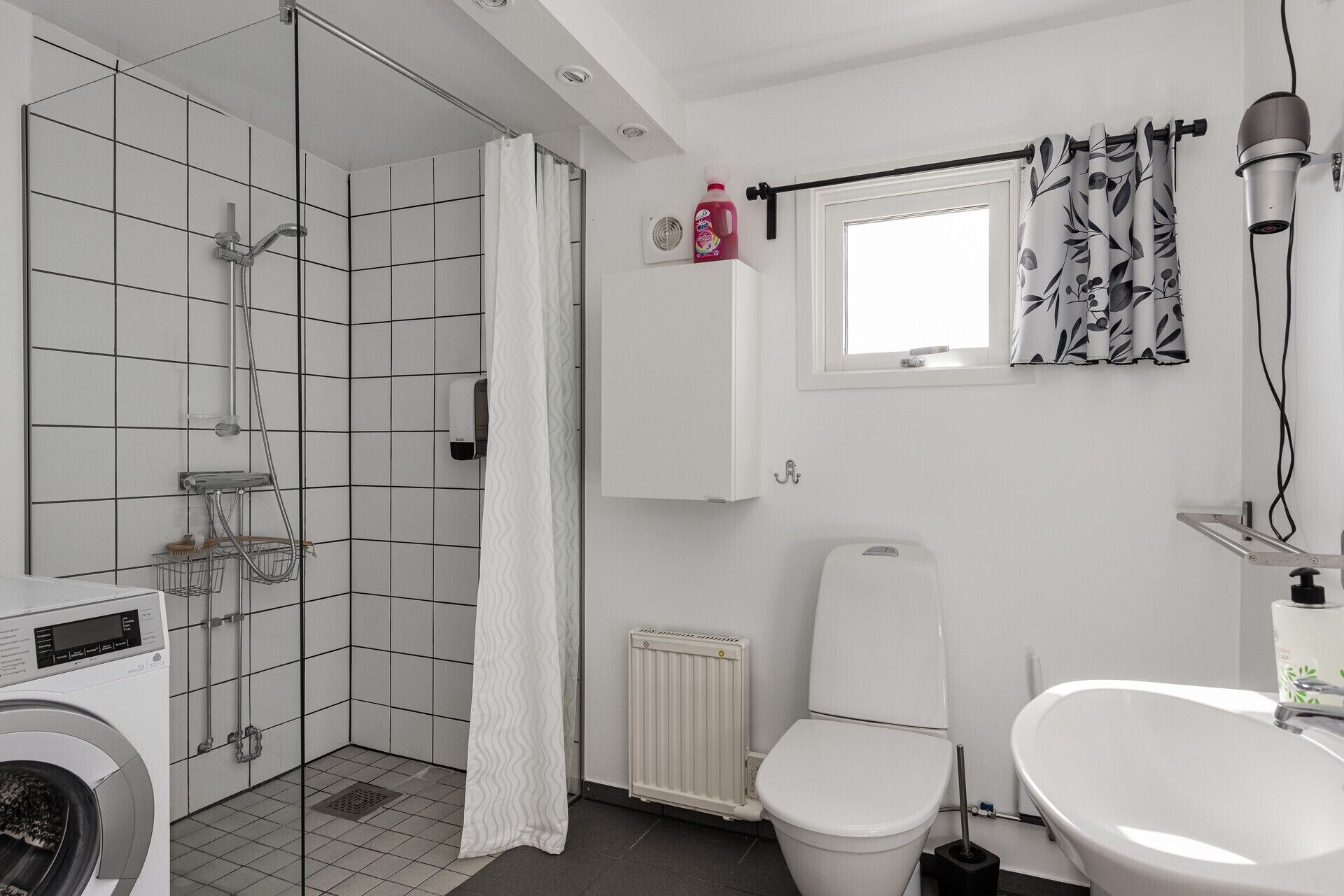 Shower, hair dryer