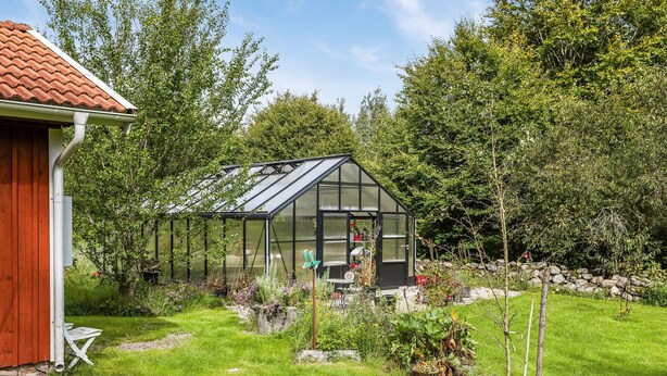 A greenhouse with a glass roof, surrounded by a garden with various plants and a wooden structure to the left.