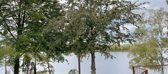 Fantastisches Ferienhaus mit eigenem Seegrundstück bei Bolmen, Ljungby | SE06053