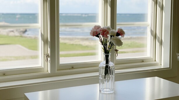 A clear view of the ocean through a window with a vase of flowers on a table.