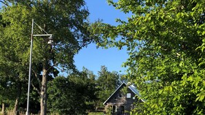 A rural setting with a gravel path leading to a wooden cabin, surrounded by dense trees and a wooden fence.