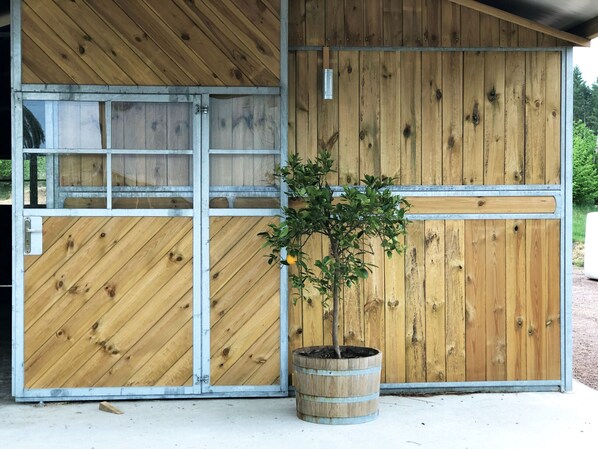 A wooden building with a metal door and a potted plant in front. - Kockabygget: Charming holiday apartment on a rural farm outside Laholm | SE02059 (Laholm)