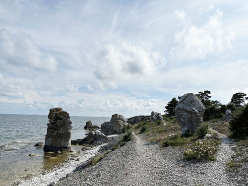 Cozy cottage on Gotland with sauna near salty baths | SE12017