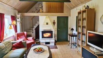 Tv, pejs, dvd-afspiller