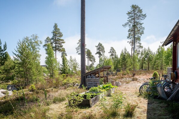 A rustic cabin with a wooden deck, surrounded by dense forest. - Seaside holiday home in Axmar north of Gävle | SE20003 (Axmar)