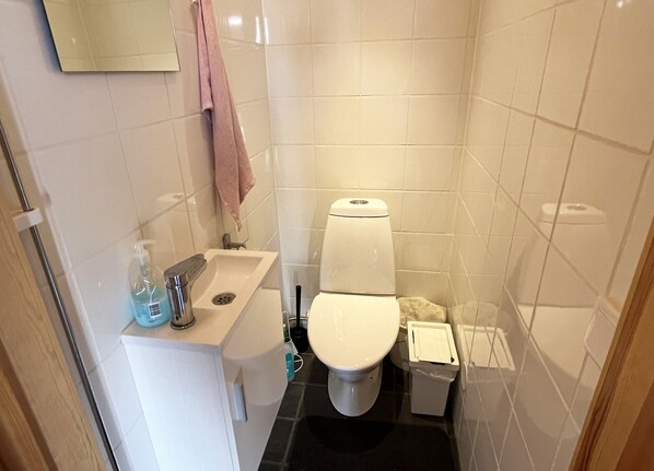 Shower, hair dryer