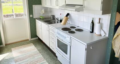 Rotes gemĂŒtliches Ferienhaus mit Meerblick | SE04035