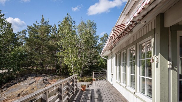 A wooden deck with a railing, a potted plant, and a view of a forested area.