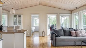 Televisor i llar de foc