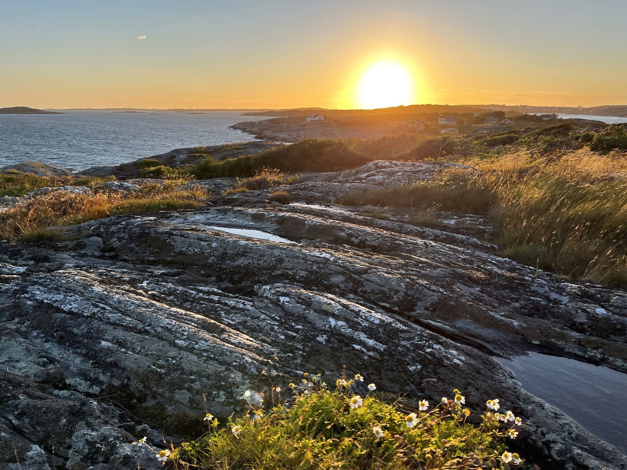 A coastal landscape with a rocky foreground, a body of water, and a sunset in the background.