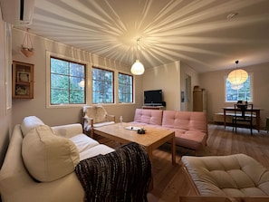TV, fireplace